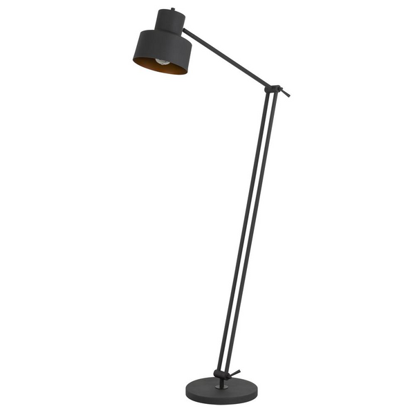 60W Davidson Metal Floor Lamp - Durable Adjustable Matte Finish Lighting