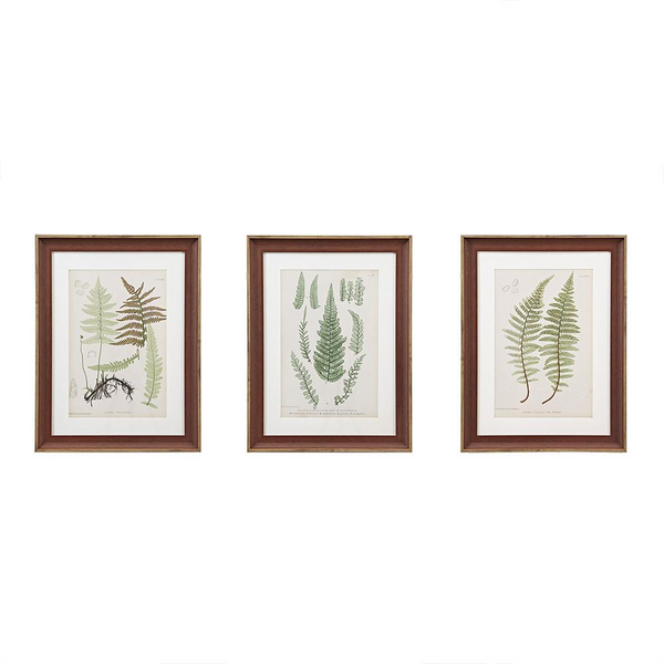 Martha Stewart Lady Fern Collection Single Matte Frame Graphic 3 Piece Set