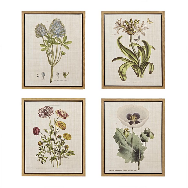 4Pc 16X20 Framed Linen Canvas Set - Herbal Botany | Botanic Wall Art