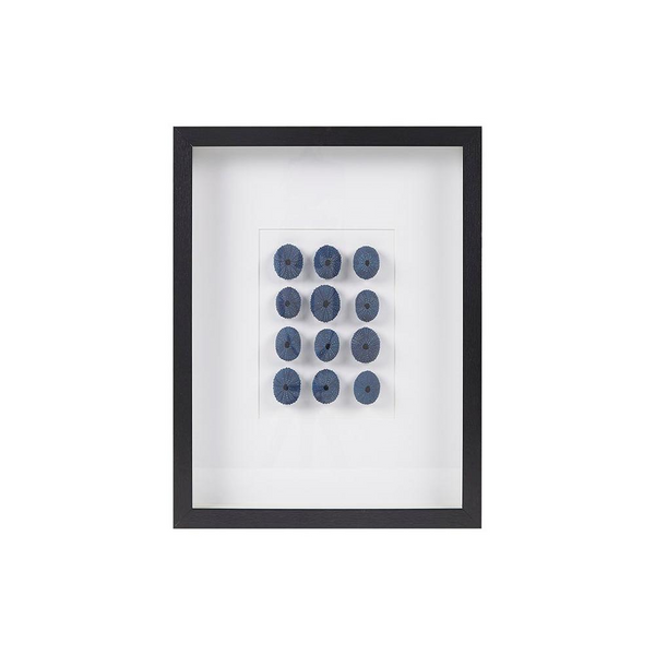 Framed Sea Urchin Shadow Box Wall Decor - Modern Coastal Home Decor