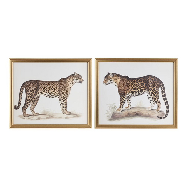 Cheetah Framed Graphic Wall Decor 2PC Set - Stunning Gold Frame Art Duo