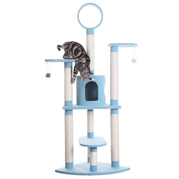 Armarkat 65-Inch Classic Real Wood Cat Tree in Sky Blue | Jackson Galaxy Approved | 5 Levels, Perch, Condo & Hanging Tunnel